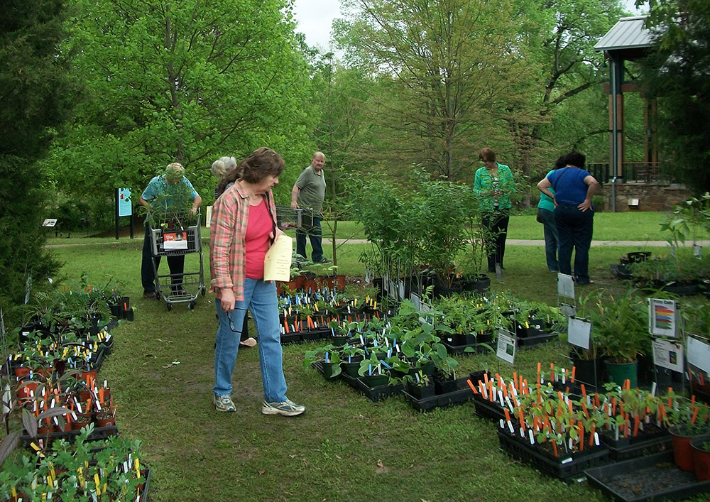 A small group of people walk around trays of small potted plants on the ground, among the grass. Trees in green foliage are in the background.