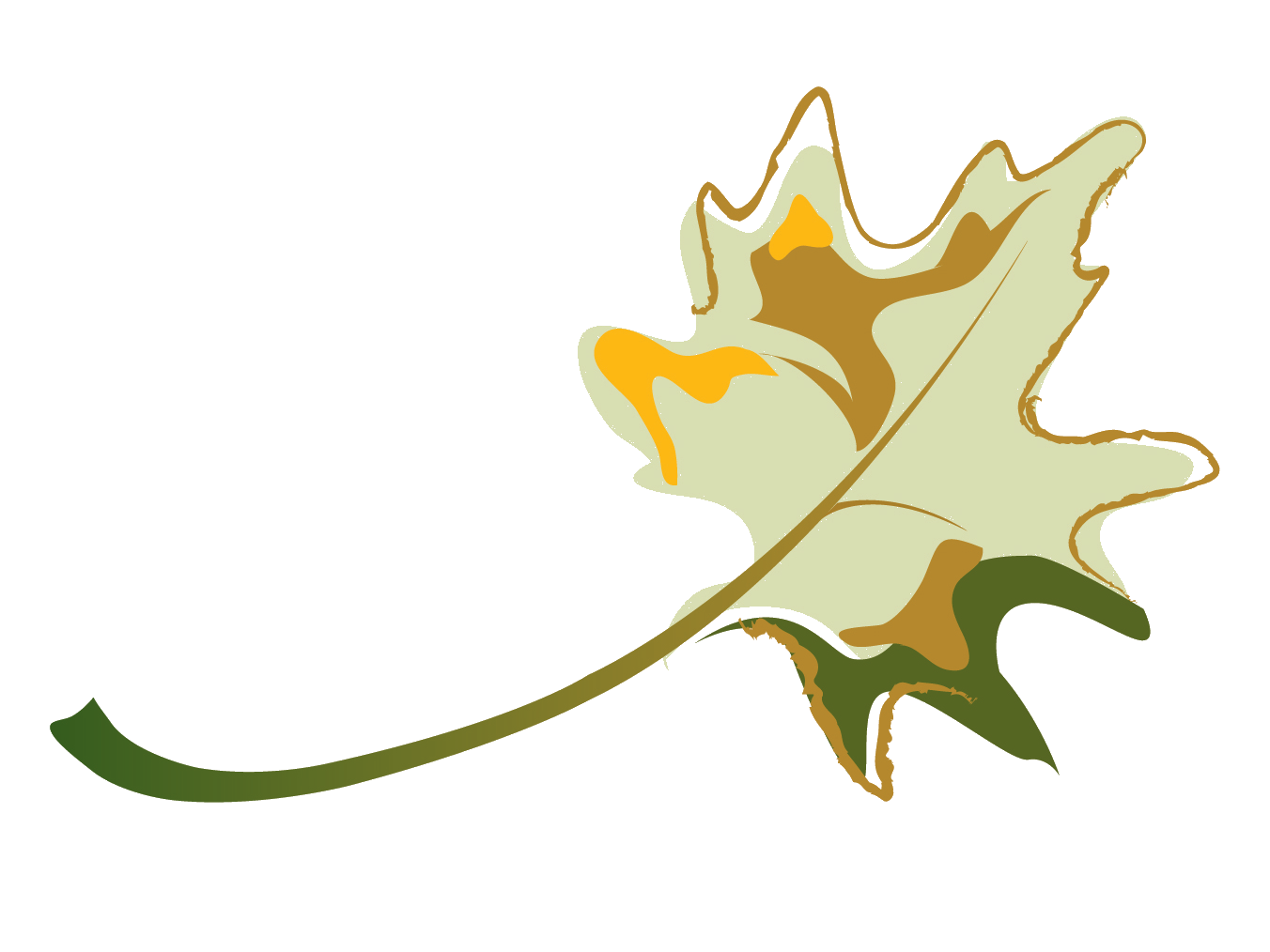 ANCA Leaf
