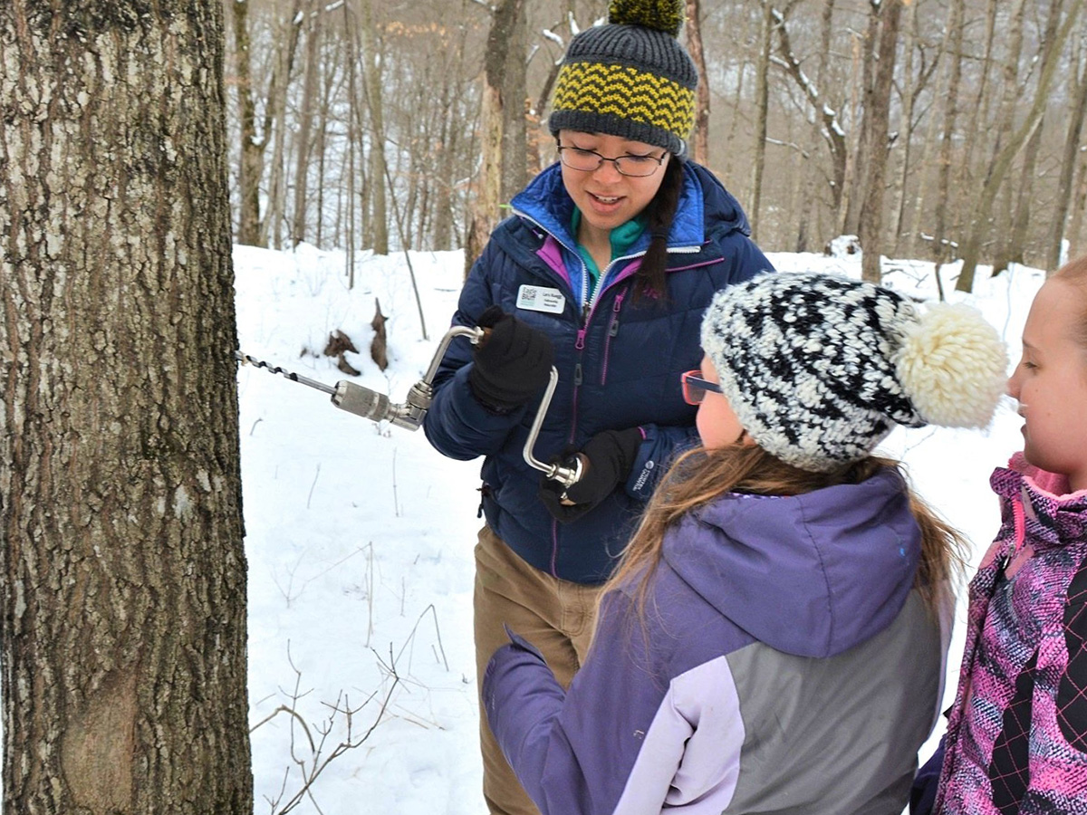 Eagle Bluff fellow girls tapping maple tree resized web