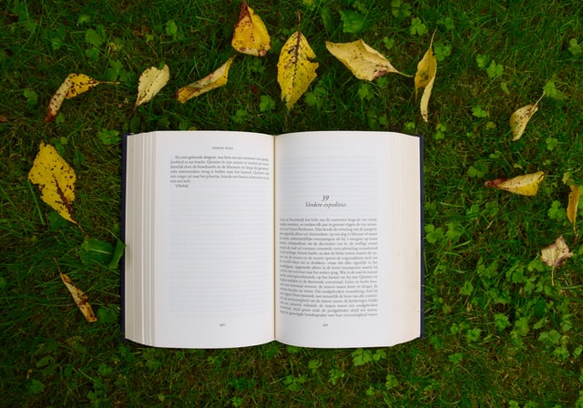 Looking down at an open book in the grass. A few yellow leaves are decoratively scattered around the book.