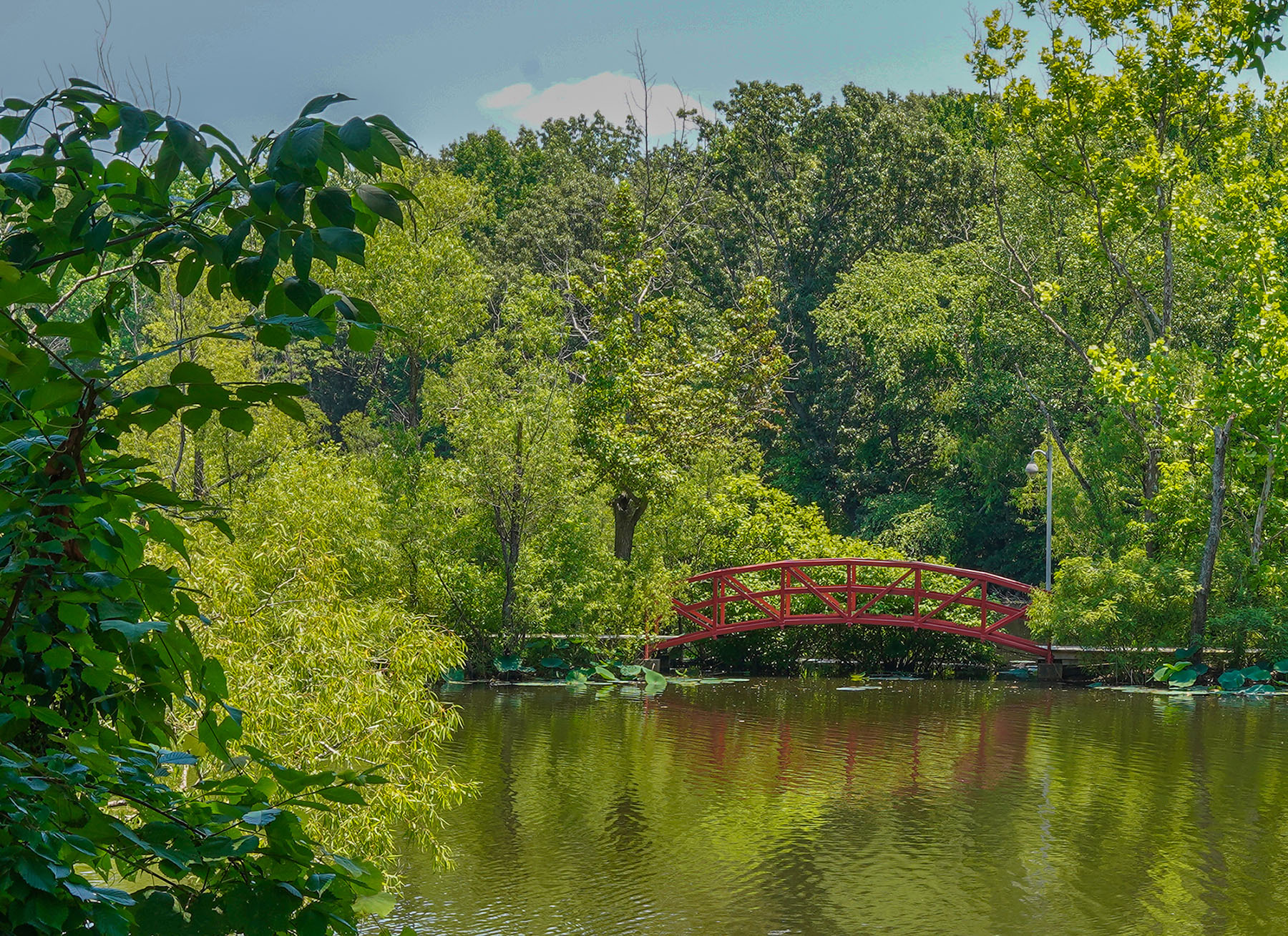 Leafy trees across a pond. At bottom is standing water, in the distance is a red arched bridge surrounded by trees in green foliage.