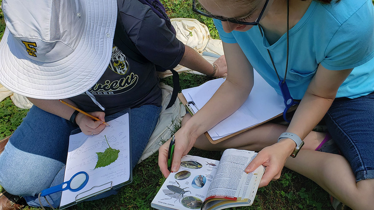 web Educators using field guides and journaling to explore nature mysteries during a professional development workshop Rachel Anderson copy
