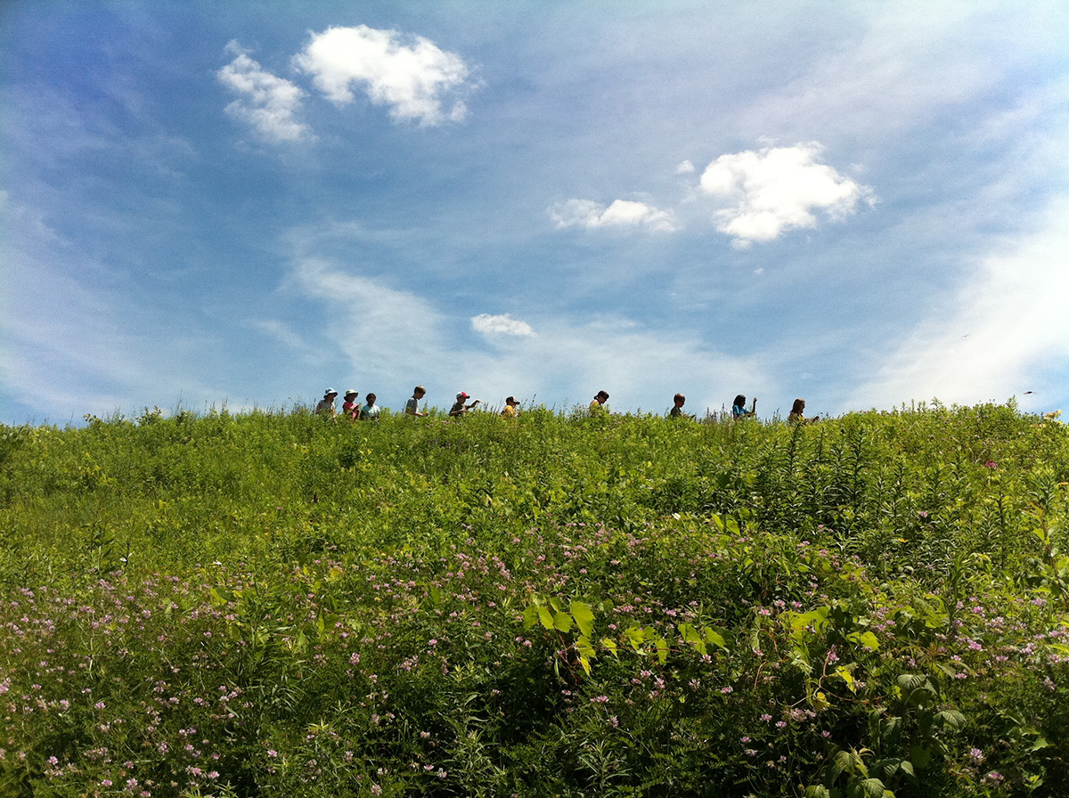 web Campers hiking through the prairie on a picturesque summer day. copy