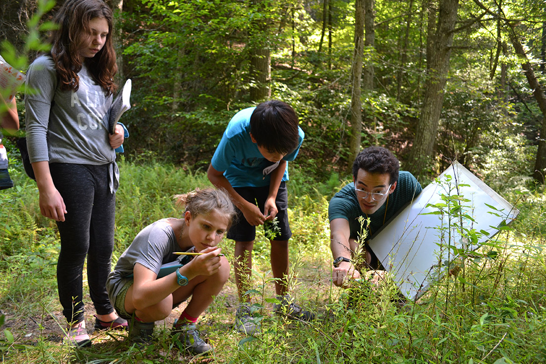 Three children examine a plant in the forest, while a young adult points to another plant.