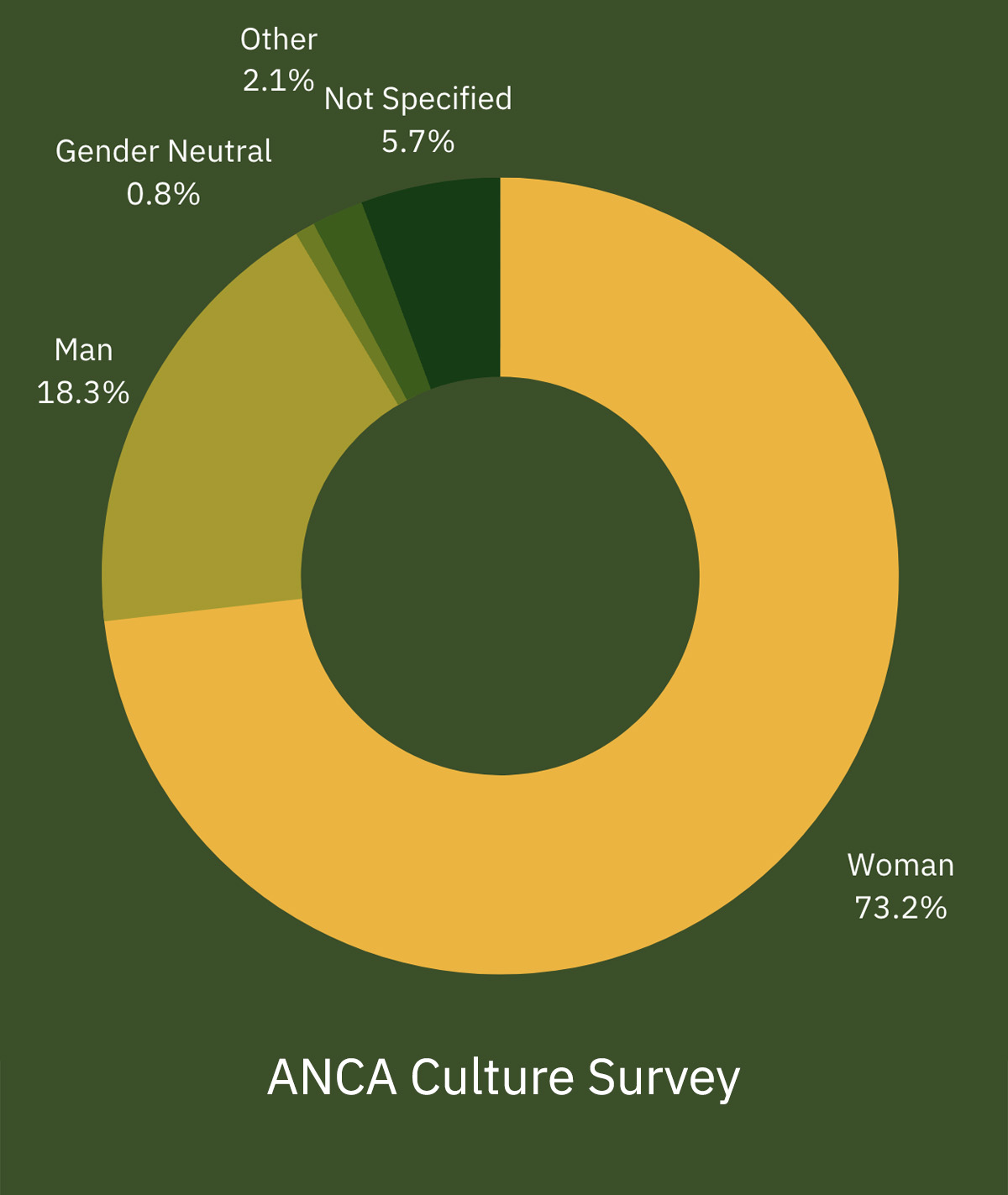 CS Gender Identity