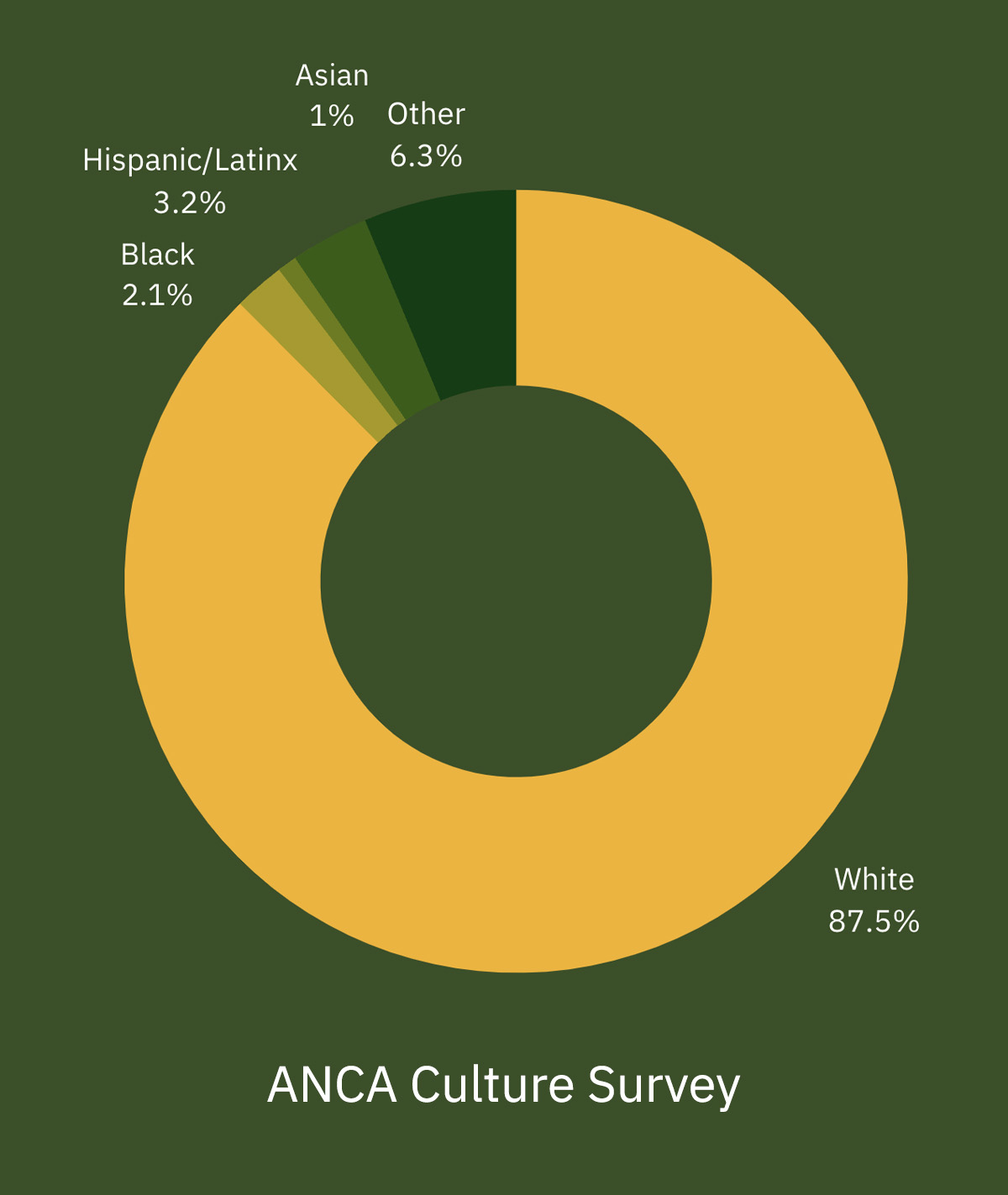 CS Race Ethnicity