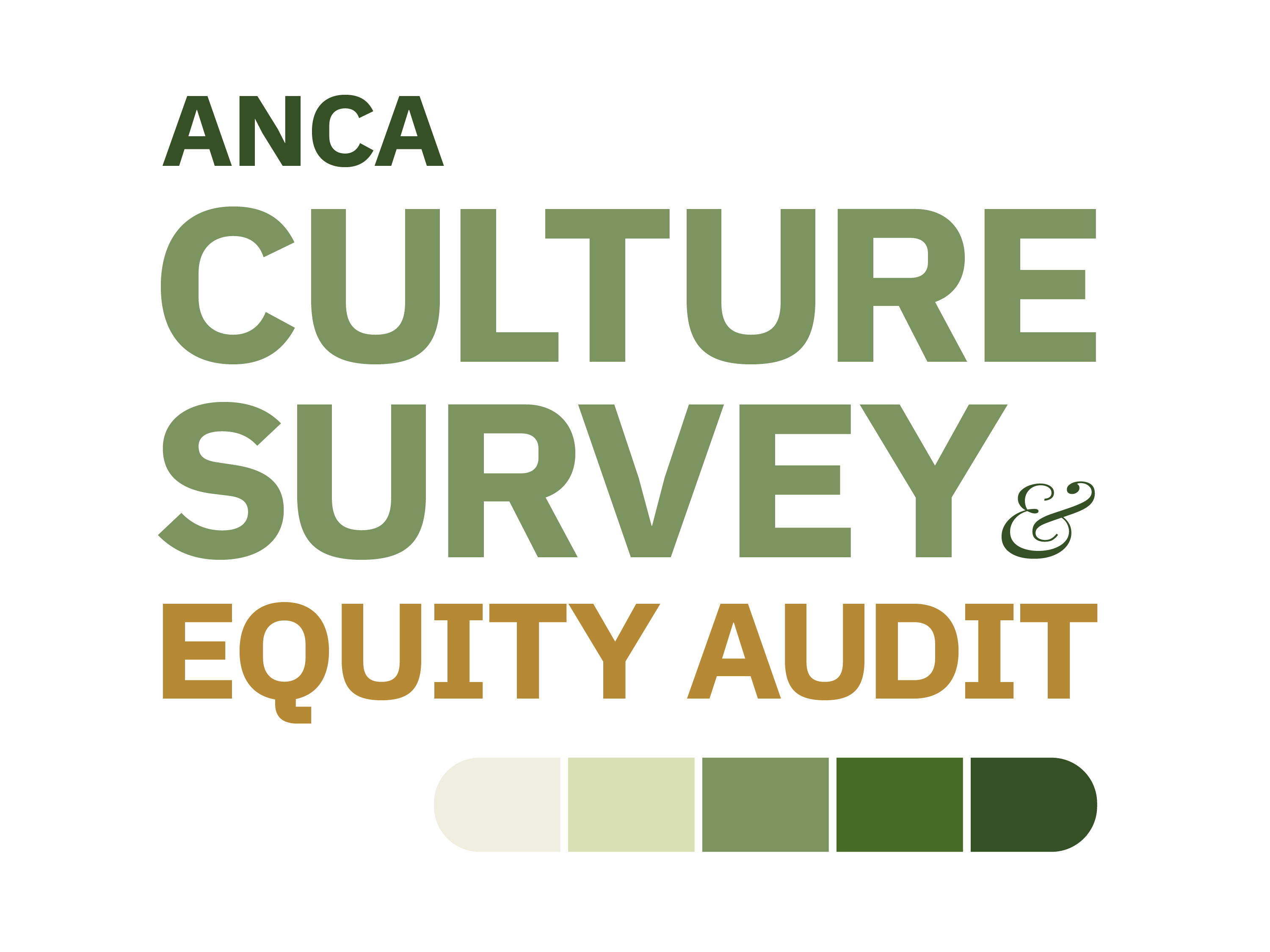 ANCA Culture Survey and Equity Audit
