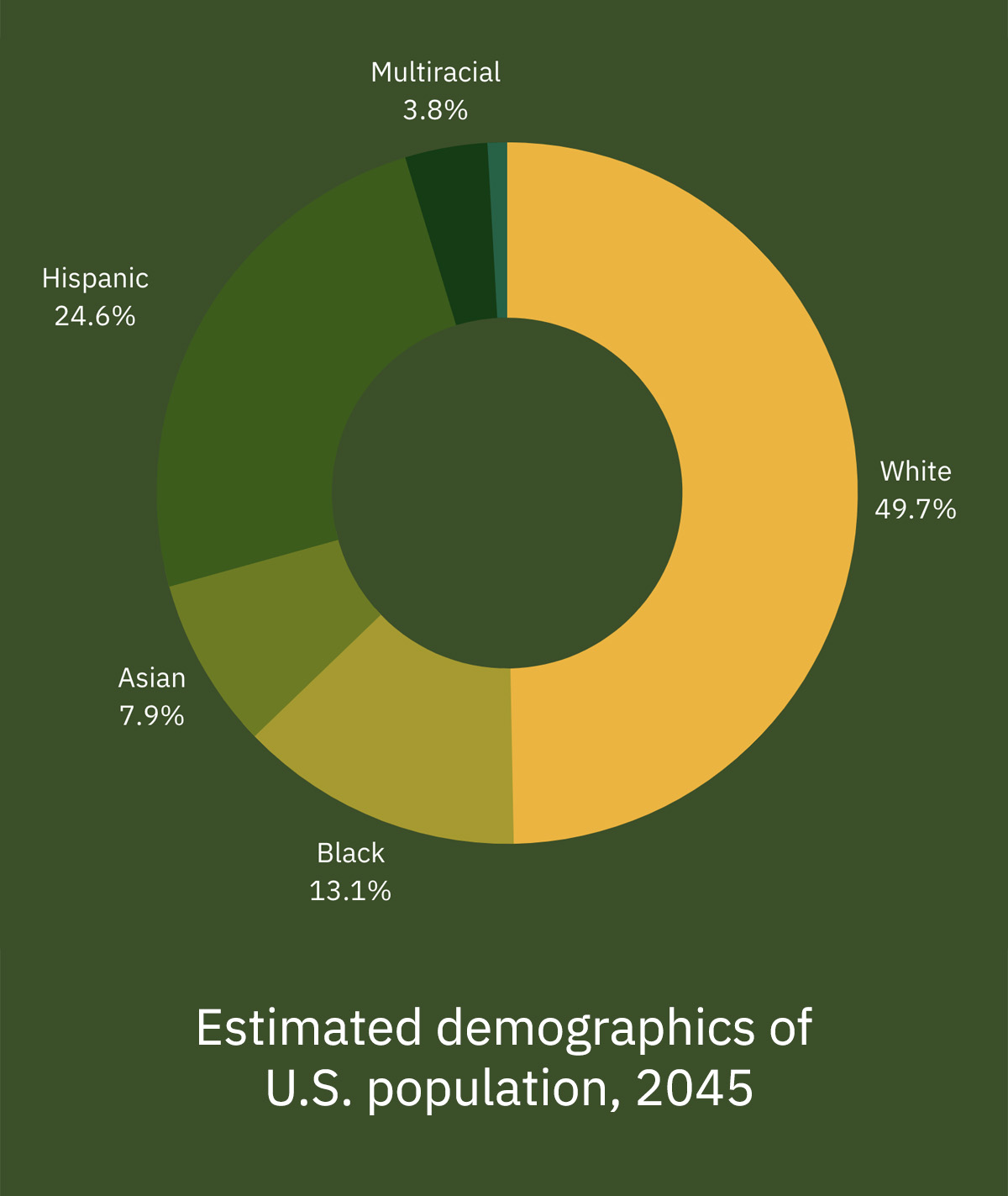 US 2045 Race Ethnicity