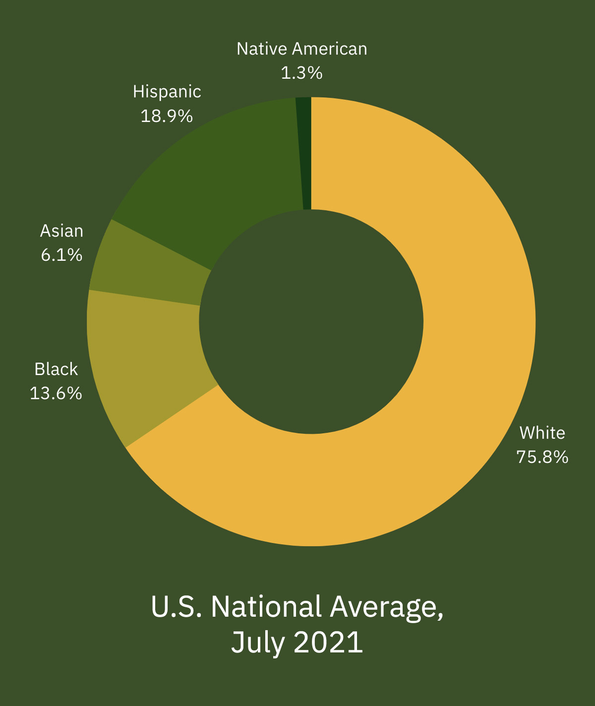 US Race Ethnicity