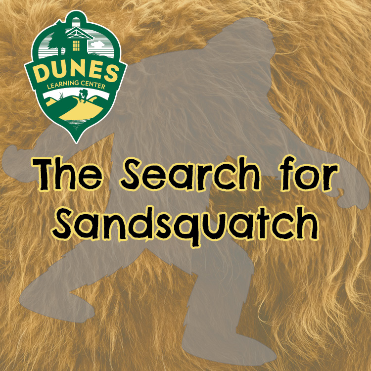 The Search for Sandsquatch