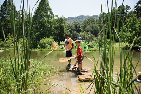 Reflection Riding 2019 Summer Camp