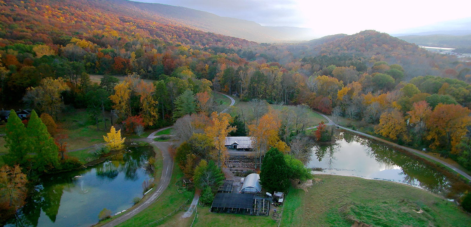 Fall scenery at Reflection Riding Arboretum & Nature Center.