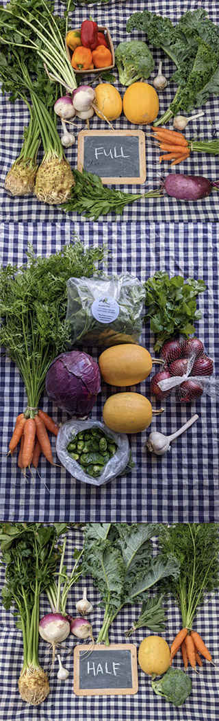 Three images stacked. All images are a downward view of vegetables on a checkered pattern cloth. The top has a small chalkboard that says "full," while the bottom has a small chalkboard that says "half."