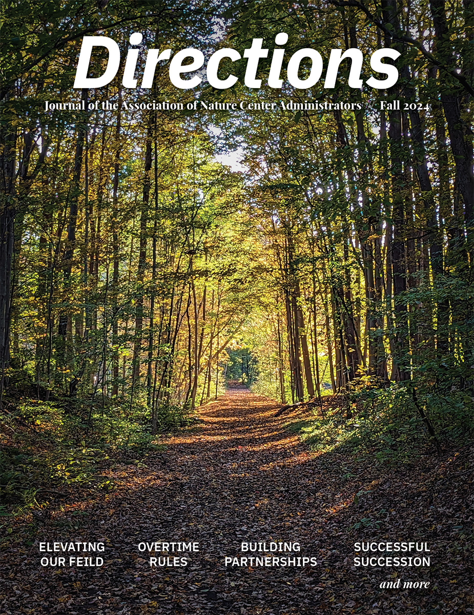 The cover of Directions. A woodland trail in early autumn. In the distance, sunlight shines through trees.