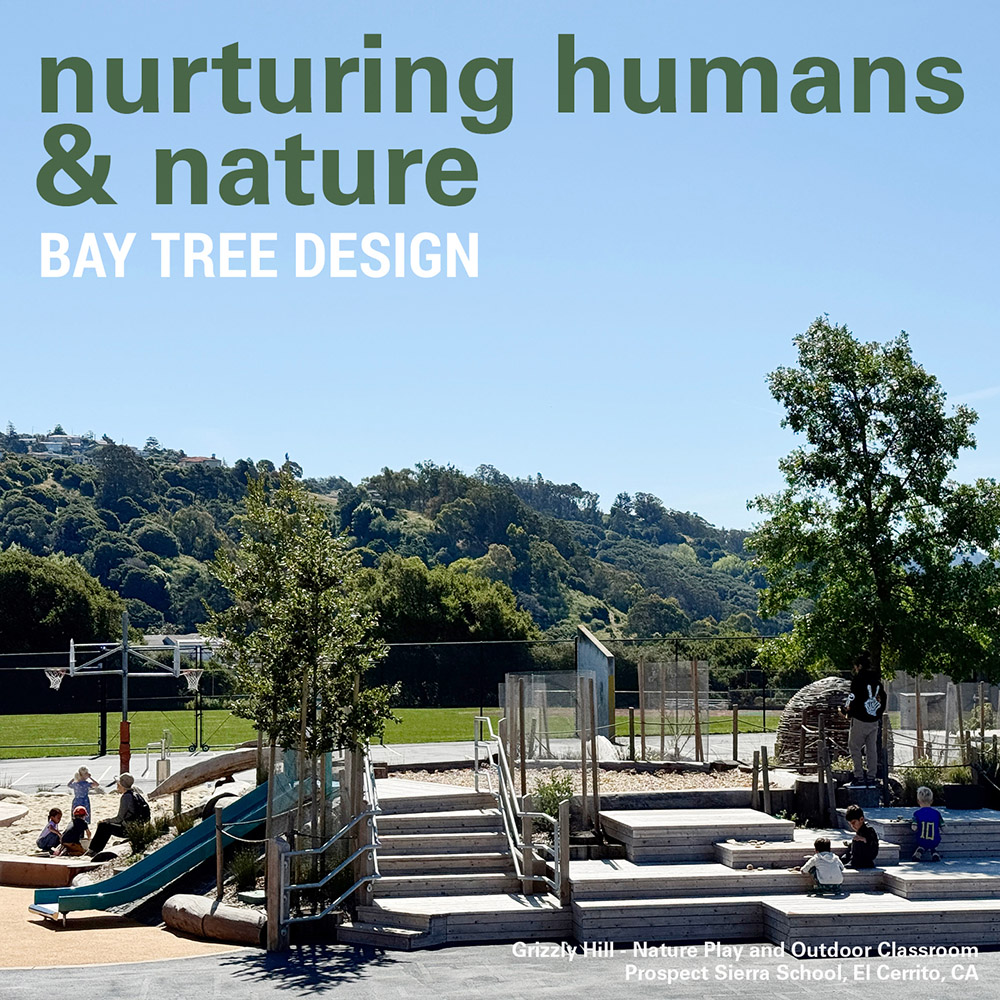 Nurturing humans & nature: Bay Tree Design
