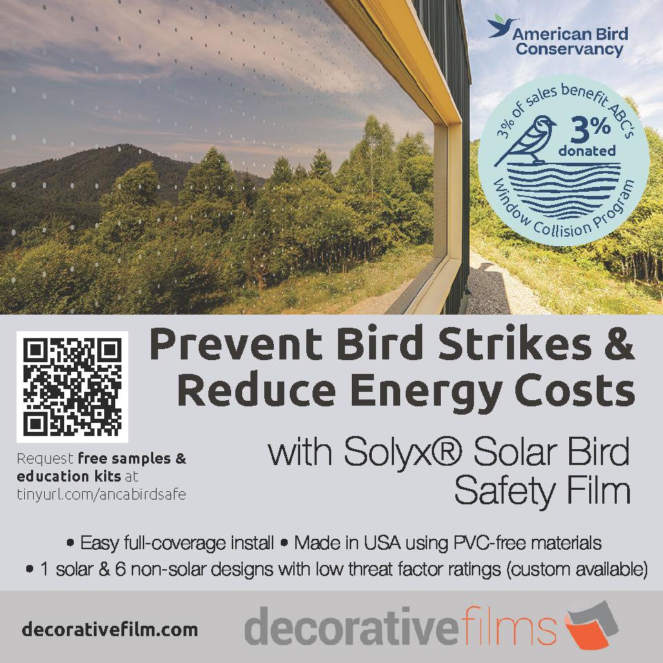 Decorative Films