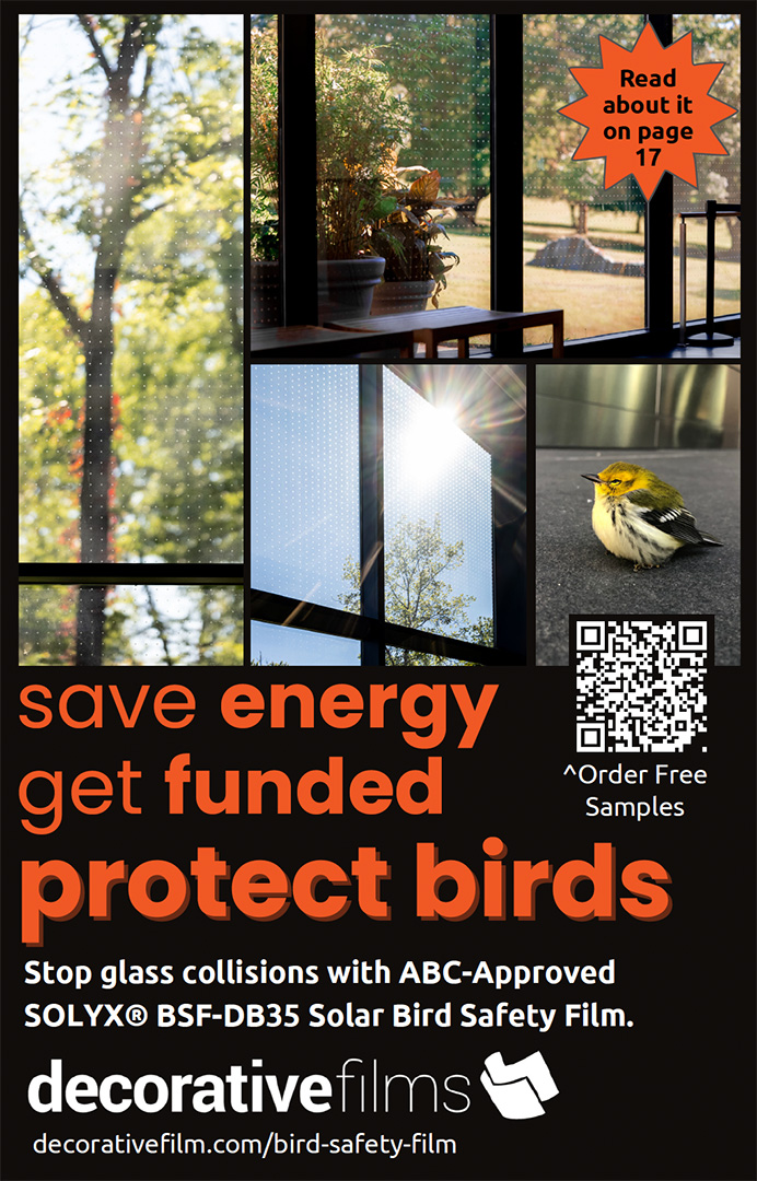 Decorative Films Ad Nov 2025 web