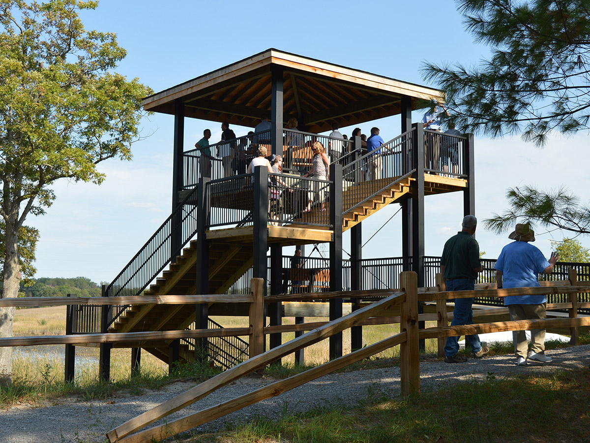 Chippewa-Nature-Center-2-Story-Wetlands-Observation-Tower-web