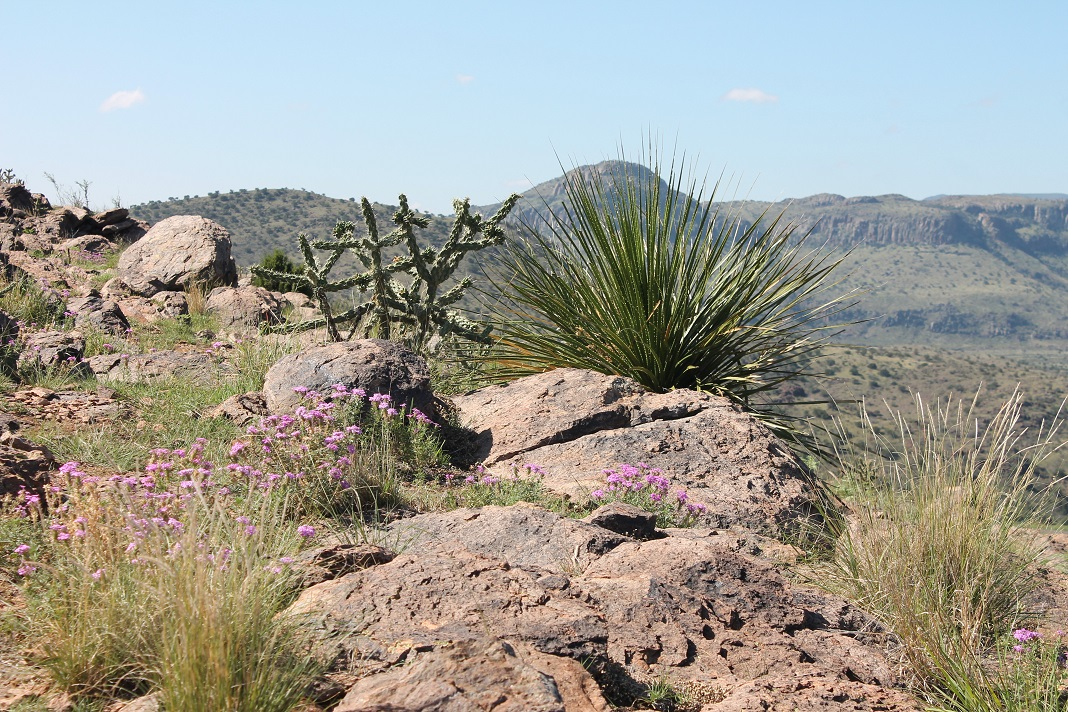 Photo-Trail-to-Claytons-Overlook