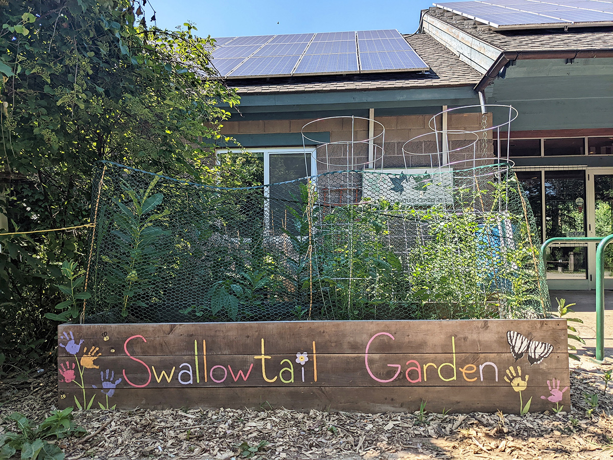 Swallowtail-Garden
