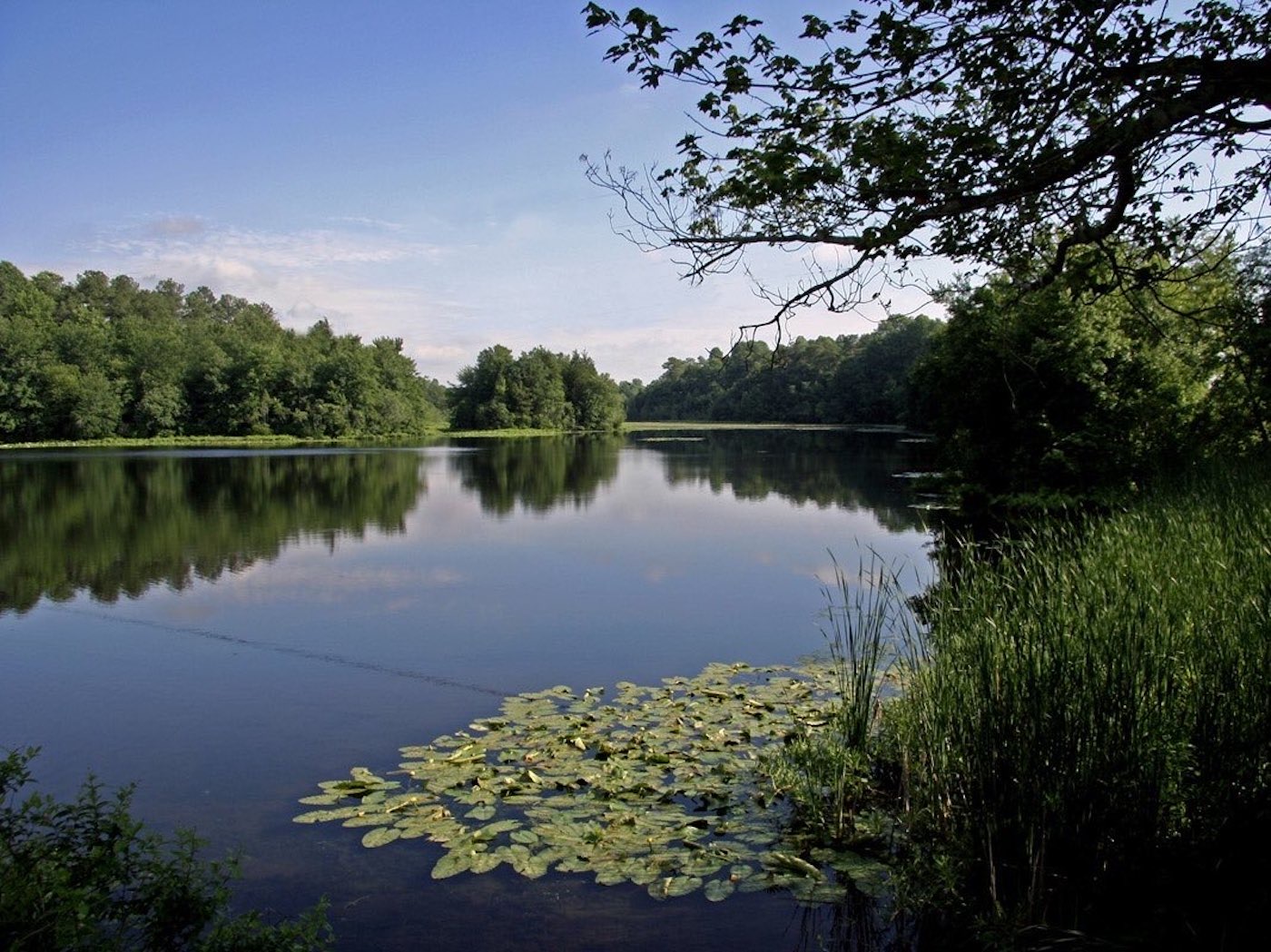 Abbott’s Pond at Abbott’s Mill Nature Center in Milford, Del. Abbott’s Mill Nature Center is a DelNature partnership with the State Division of Historical and Cultural Affairs and the DE Division of Fish and Wildlife.