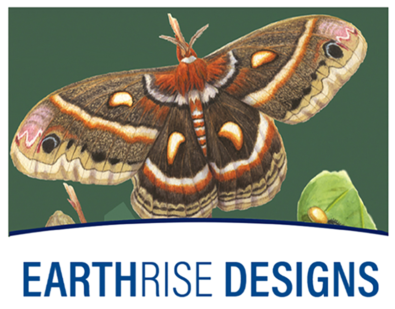 Earthrise Designs