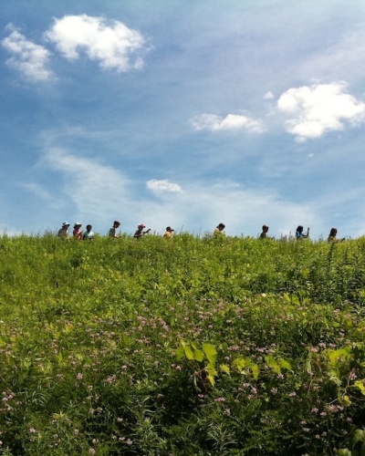 Dodge Nature Center - Campers hiking through the prairie on a picturesque summer day.