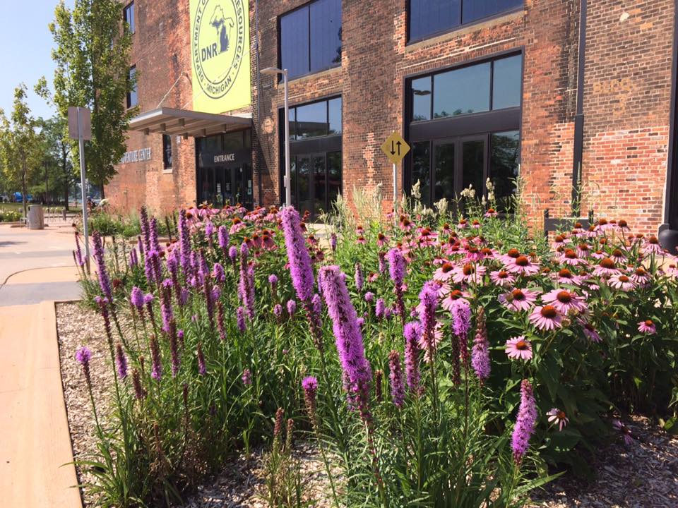 Front of building in bloom