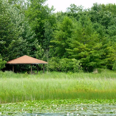 Wetlands Area Pavilion and Pond