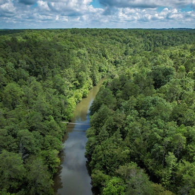 Clear Creek flows through the woods surrounding Camp McDowell.